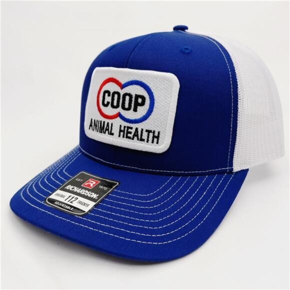 Retro RARE CO-OP Animal Health Farmer Ranch Embroidered Patch Richardson 112 80s main image 10